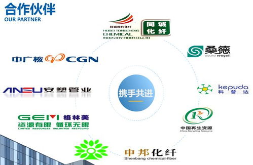 瑞利環保 一站式破碎清洗甩干設備與環保咨詢服務，打造綠色循環整體解決方案